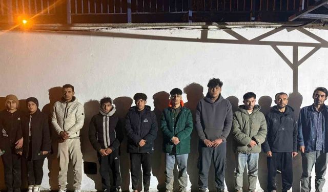 Edirne’de 17 düzensiz göçmen yakalandı