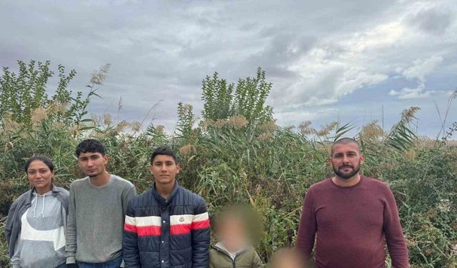 Edirne’de 6 kaçak göçmen yakalandı