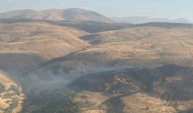 Elazığ’da kırsal alan yangını kontrol altına alındı