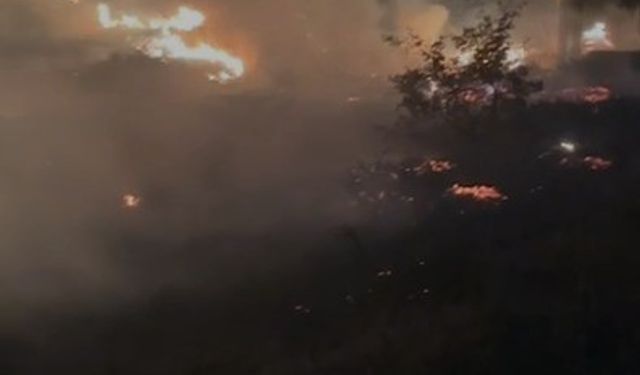 Elazığ’da otluk alanlarda çıkan yangınlar söndürüldü