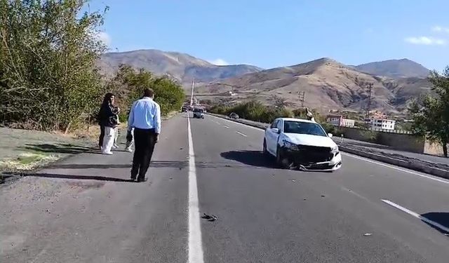 Elazığ’da otomobil köpeğe çarptı: 1 yaralı