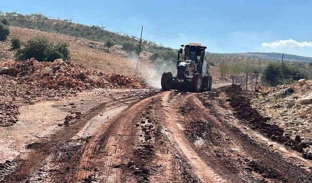 Etkili olan yağmur tarlaları sular altında bıraktı