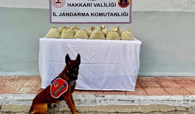 Hakkari’de 15 kilogram esrar ele geçirildi