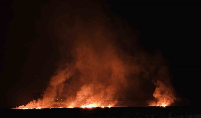 Hakkari’de kuş cenneti Nehil Sazlığı’ndaki yangın köyleri tehdit ediyor