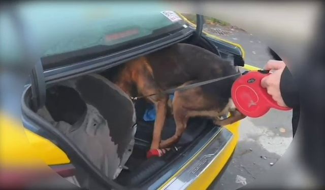 İstanbul’dan Sakarya’ya uyuşturucu getiren şüpheli tutuklandı