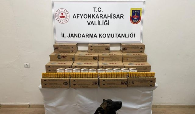 Jandarma 10 bin adet kaçak av tüfeği mermisi ele geçirdi