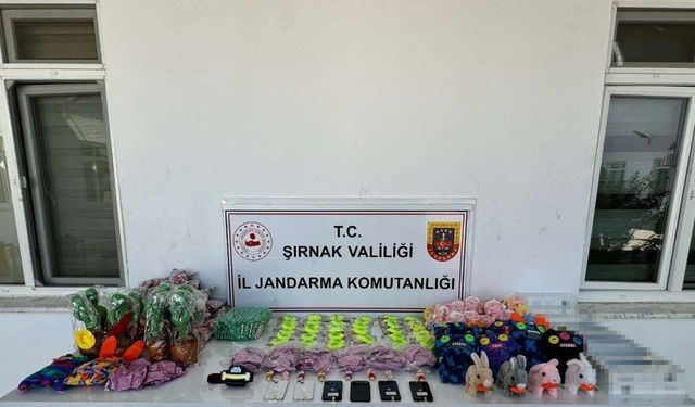 Jandarmadan kaçakçılık operasyonu: 98 şüpheli hakkında yasal işlem yapıldı
