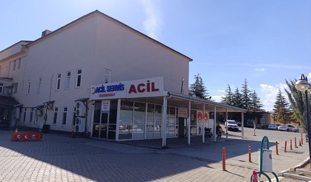 Kahramanmaraş’ta arının soktuğu çocuk hayatını kaybetti