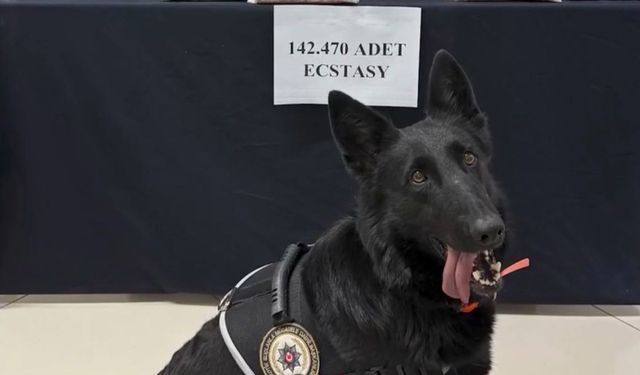 Karaman’da 71 milyon liralık uyuşturucu hap ele geçirildi