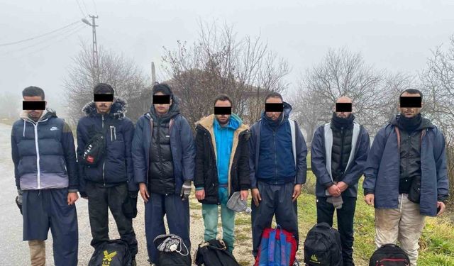 Kırklareli’nde 9 kaçak göçmen yakalandı