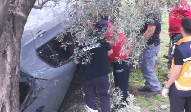 Kontrolü kaybetti zeytin bahçesine uçtu: 2 yaralı