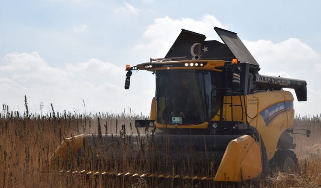 Konya Ovası’nda kenevir hasadı
