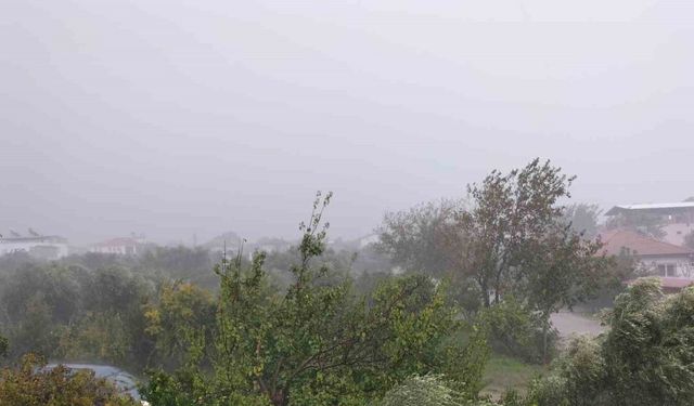 Köyceğiz’de fırtına ve sağanak yağış etkili oldu