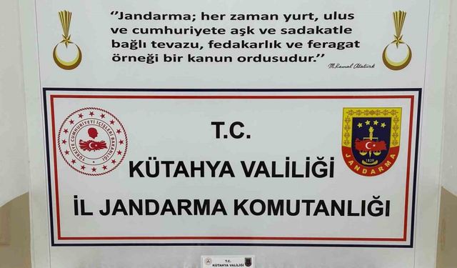 Kütahya’da uyuşturucu operasyonu: 1 tutuklama