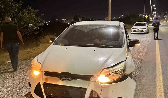 Malatya’da otomobilin çarptığı domuz telef oldu