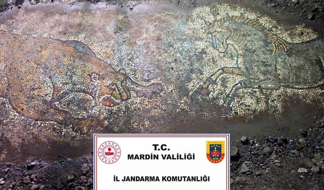 Mardin’de "Anadolu Mirası" operasyonunda 1500 yıllık mozaik ele geçirildi