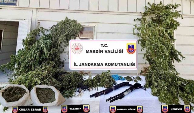 Mardin’de uyuşturucu operasyonlarında 38 şüpheli yakalandı