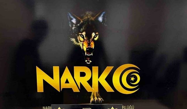 Mardin’de uyuşturucu operasyonu: 2 tutuklama