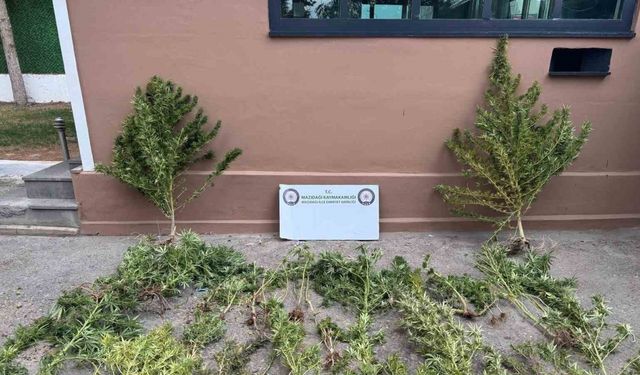 Mardin’de uyuşturucu operasyonu: 3 gözaltı