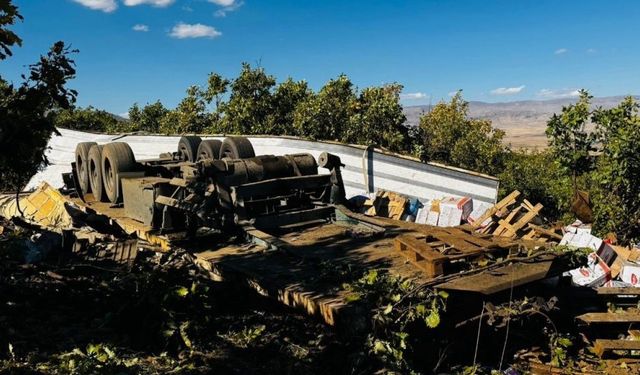 Muş’ta freni boşalan tır kaza yaptı: 1 yaralı