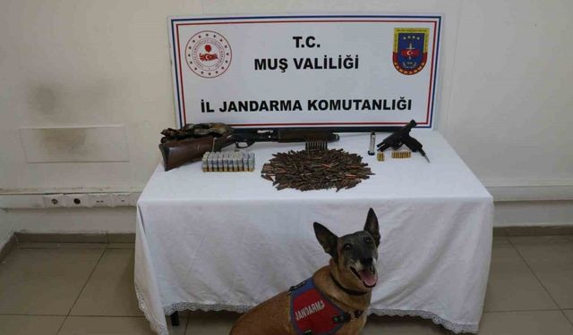 Muş’ta tezek yığınının altından silah ve mühimmat çıktı