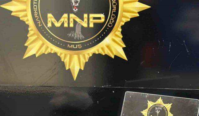 Muş’ta uyuşturucu operasyonu