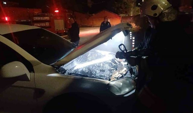 Park halindeki cipi küle dönmekten itfaiye kurtardı