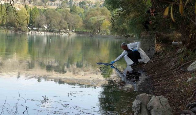 Pikniğe giden öğrenciler gölette kadın cesedi buldu