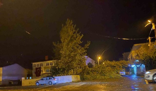 Rüzgarın kökünden söktüğü ağaç otomobilin üzerine devrildi