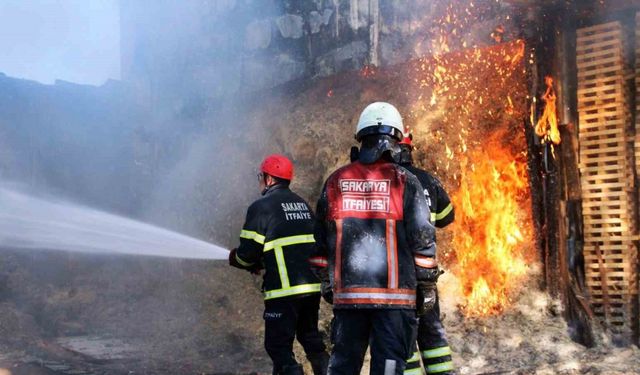 Sakarya’da ahşap atölyesinde korkutan yangın