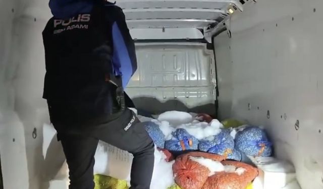 Samsun polisinden kaçak midye operasyonu