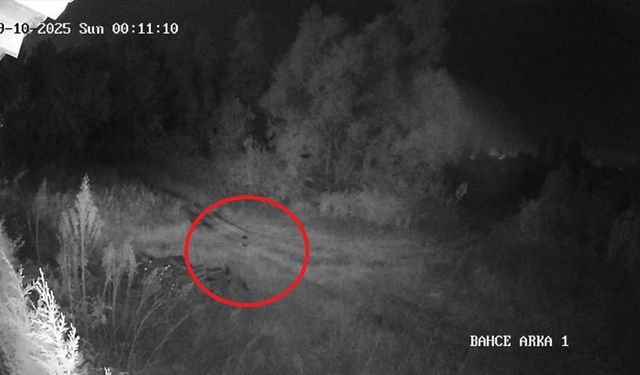 Samsun’da 2 haftadır kayıp olan genç ilçede paniğe yol açtı: Vatandaşlar tedirgin