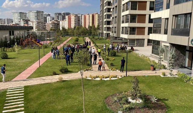 Şanlıurfa’da alacak kavgası: 4 yaralı
