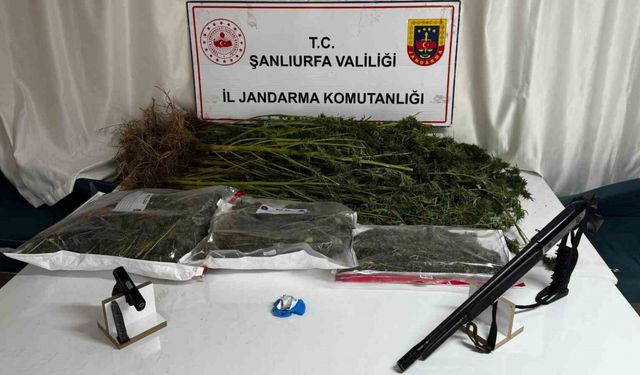 Şanlıurfa’da uyuşturucu operasyonunda 1 gözaltı