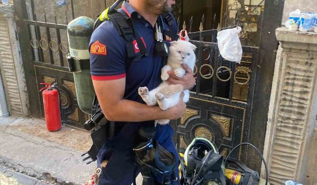 Siirt’te yangında mahsur kalan kediyi itfaiye ekipleri kurtardı