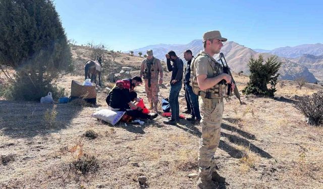 Şırnak’ta attan düşen kadın yaralandı