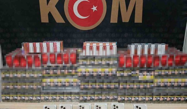 Şırnak’ta kaçakçılık operasyonu: 1 gözaltı