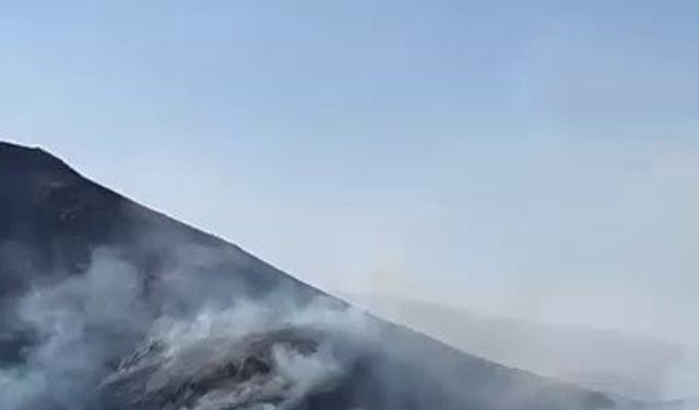 Tortum’da örtü yangını güçlükle kontrol altına alındı