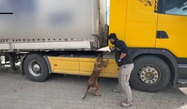 Tosya’da tıra zulalanmış uyuşturucu ele geçirildi: 1 tutuklama