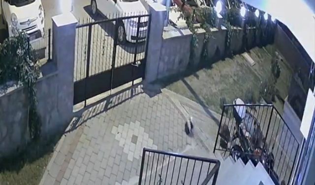 Tuğba Yavaş’ın şüpheli ölümüyle ilgili davada psikiyatri doktoru: "İntihar eğilimi gözlemlemedik"