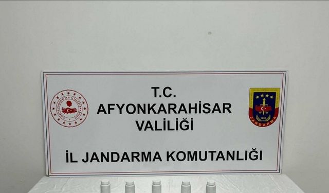 Uyuşturucu operasyonunda 2 kişi tutuklandı