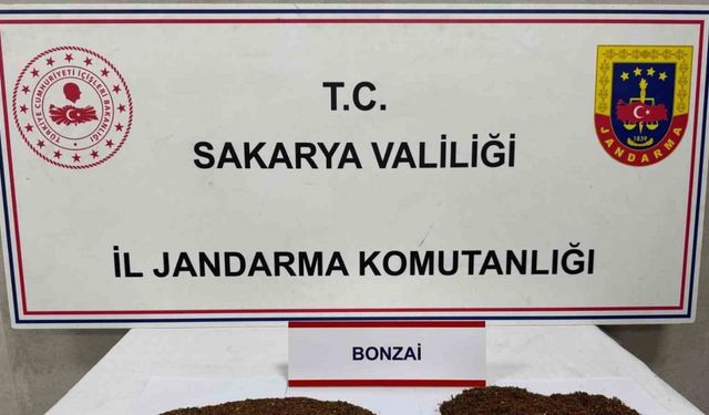 Uyuşturucu tacirleri jandarmadan kaçamadı: 2 tutuklama