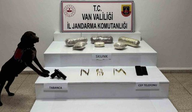 Van’da 4 kilo 311 gram skunk ele geçirildi