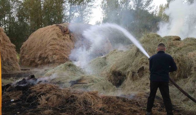 Van’da bin bağ ot yandı