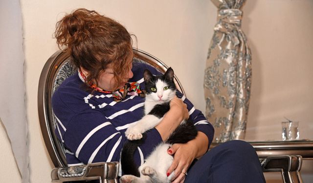 Edebiyatseverler Kedili Tekke’de Buluştu