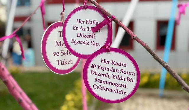 2. Nilüfer Halk Sağlığı Günleri başladı