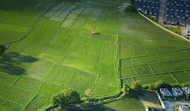 Arsa-tarla fiyatlarının en çok arttığı ve azaldığı iller