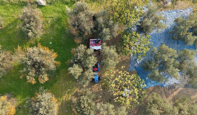 Marmarabirlik'ten 70 bin tonluk alım ve 50 milyon dolarlık ihracat hedefi