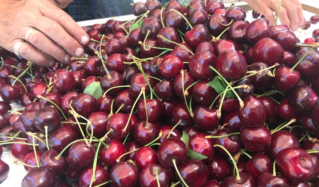 Dondurulmuş gıda sektöründe Türkiye’nin kiraz başarısı