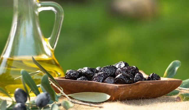 Marmarabirlik’ten 761 milyon liralık ödeme